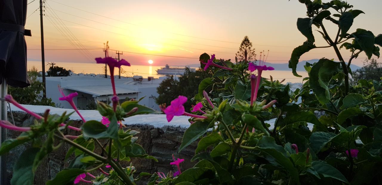 Affittacamere Varnali Small Boutique Mykonos Town